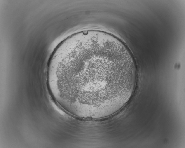 X0000114021519200910231826