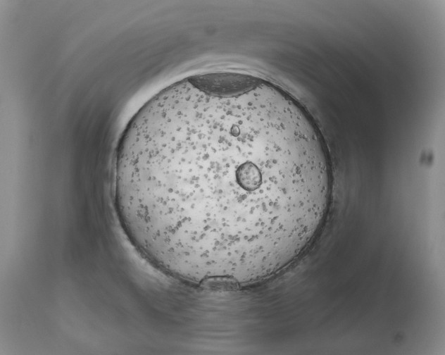 X0000114021520200910231826