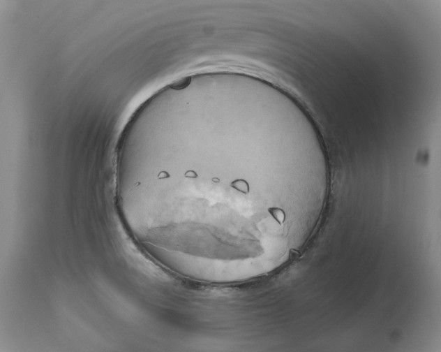 X0000114021522200910231826