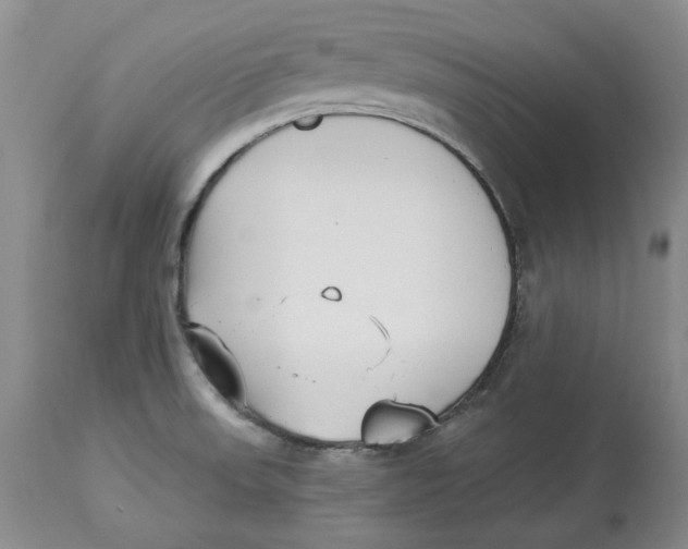 X0000114021523200910231826