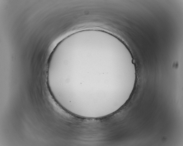 X0000114021526200910231826