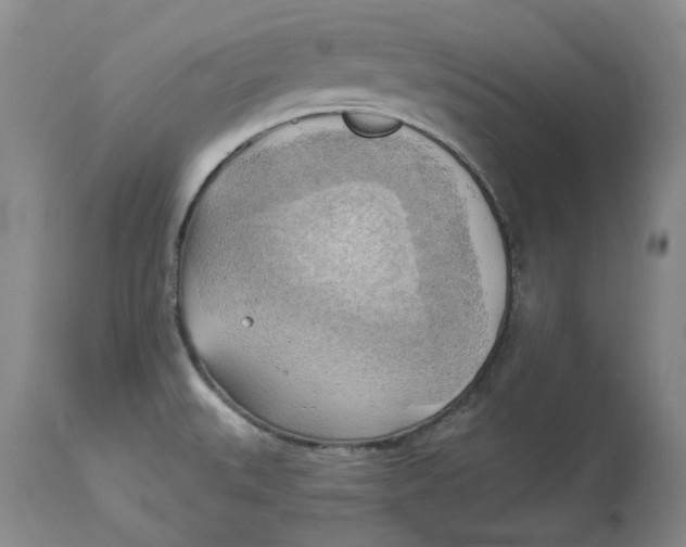 X0000114021527200910231826