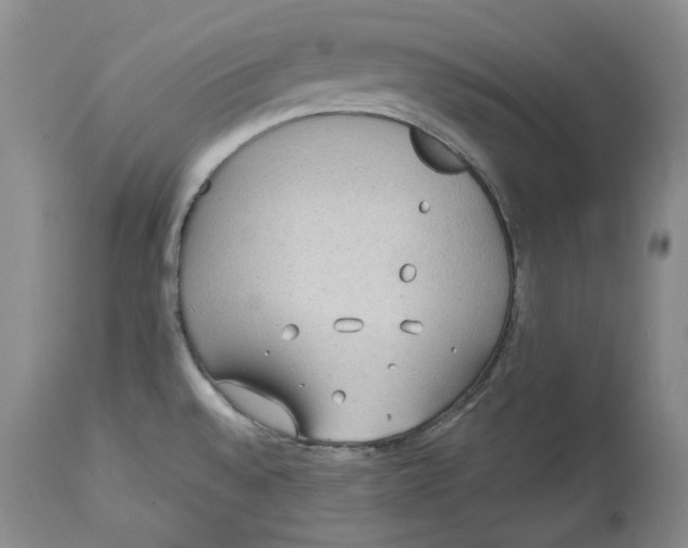 X0000114021528200910231826