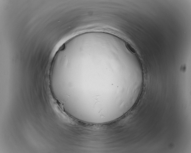 X0000114021530200910231826