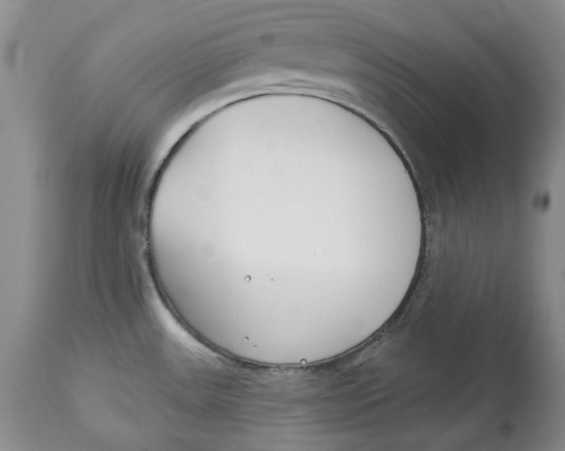 X0000114021531200910231826