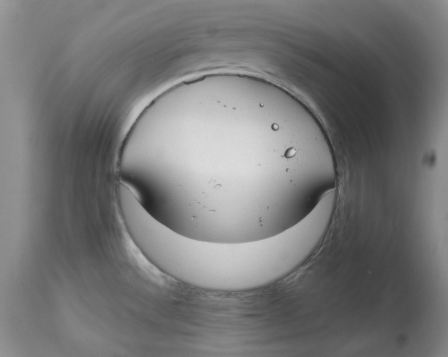 X0000114021532200910231826