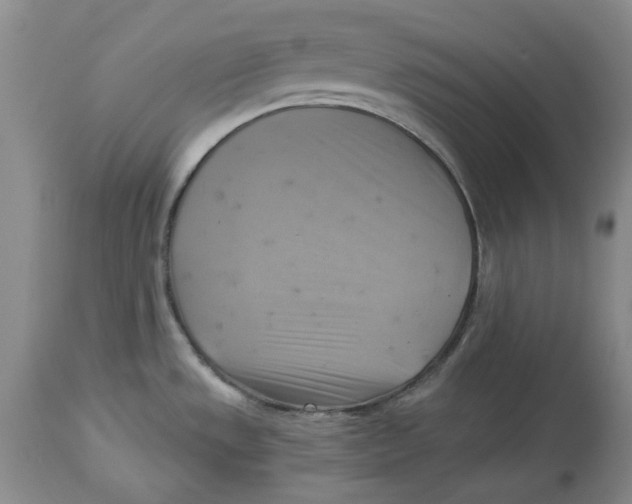 X0000114021533200910231826