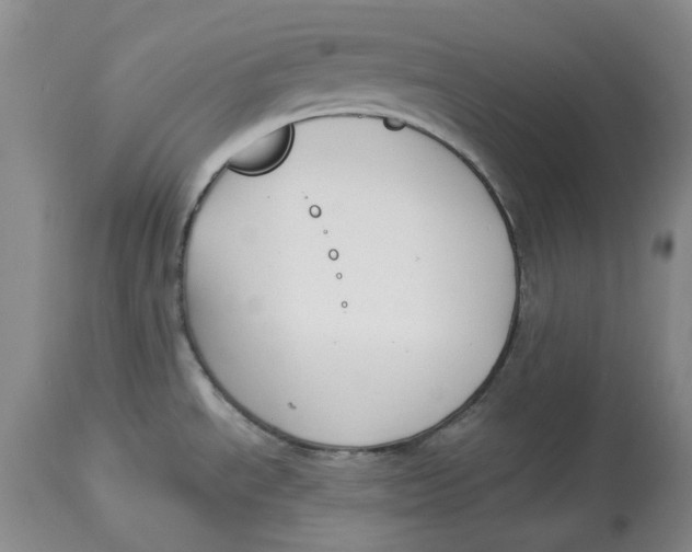 X0000114021534200910231826