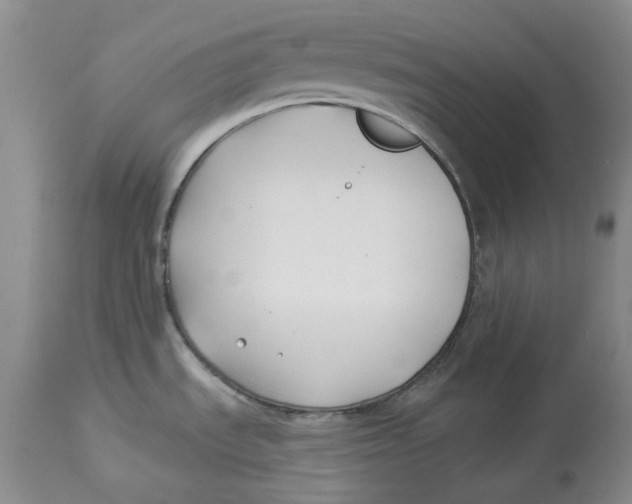 X0000114021535200910231826