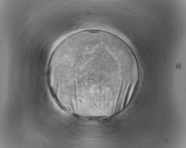 X0000114021536200910231826