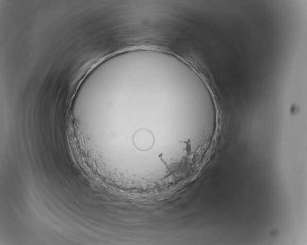 X0000114020001200911131237