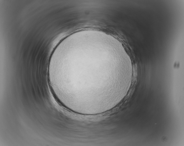 X0000114020003200911131237