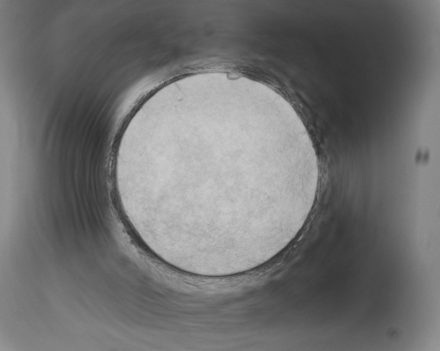 X0000114020006200911131237