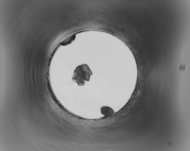 X0000114020007200911131237