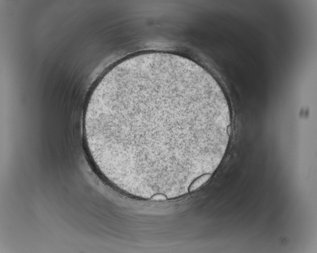 X0000114020011200911131237
