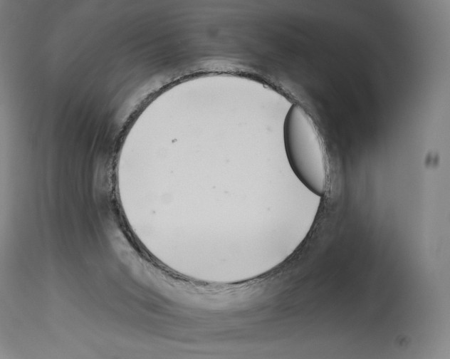 X0000114020015200911131237