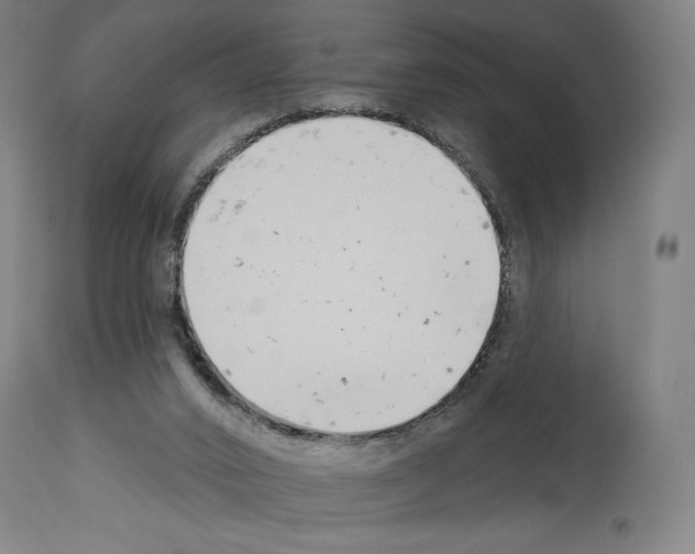 X0000114020016200911131237