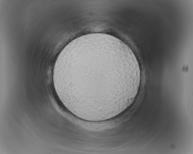 X0000114020018200911131237