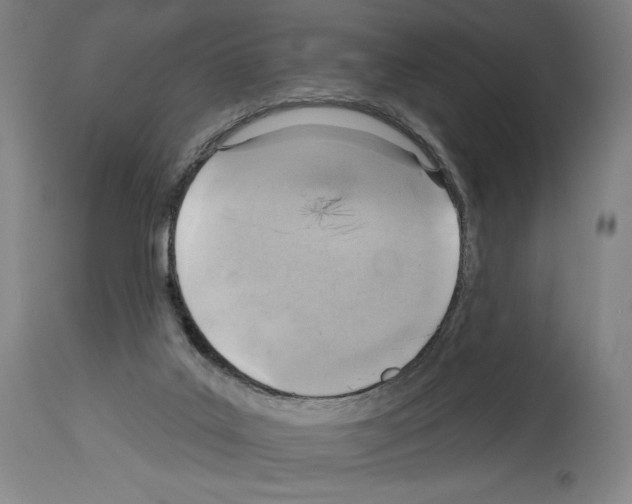 X0000114020019200911131237