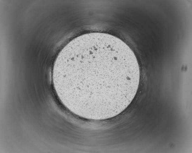 X0000114020020200911131237