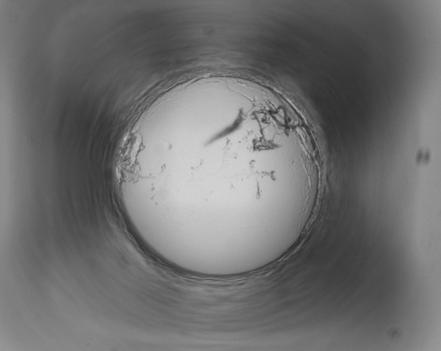 X0000114020021200911131237