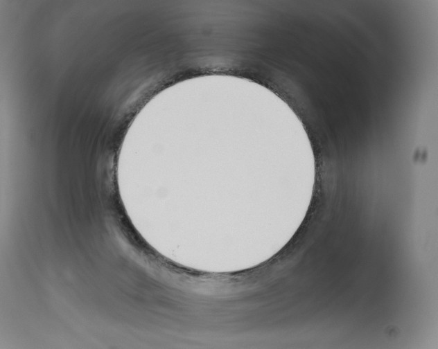 X0000114020024200911131237