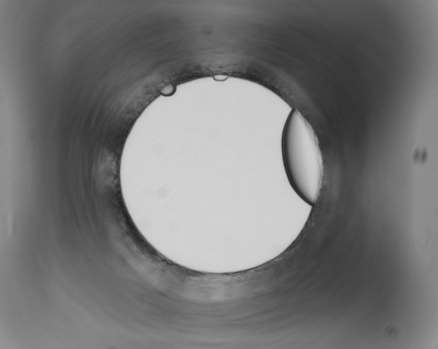 X0000114020025200911131237