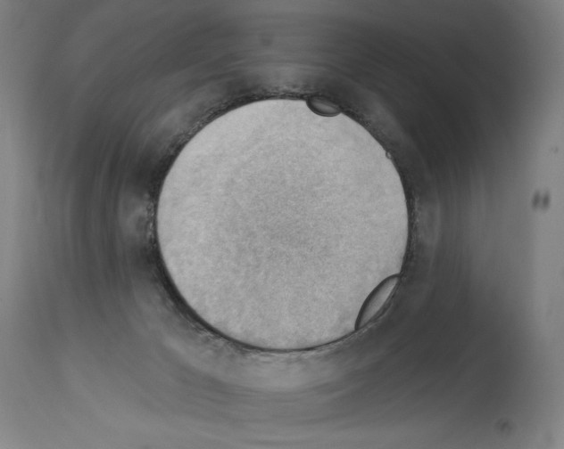 X0000114020029200911131237