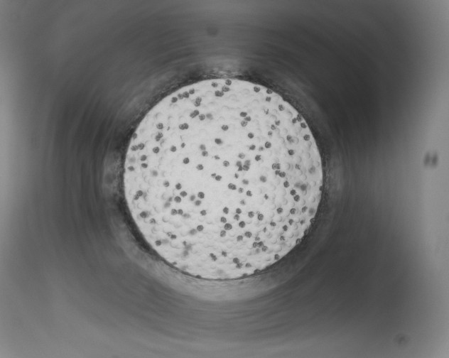 X0000114020030200911131237