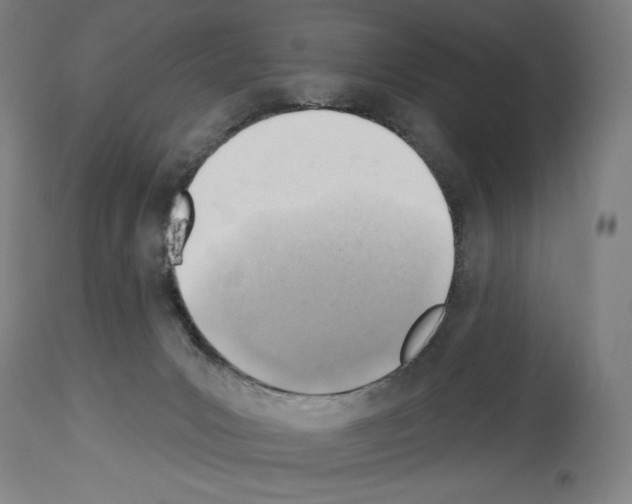 X0000114020031200911131237