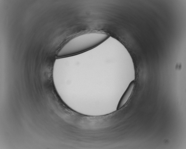 X0000114020033200911131237