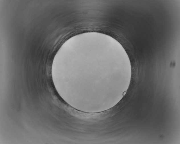 X0000114020035200911131237