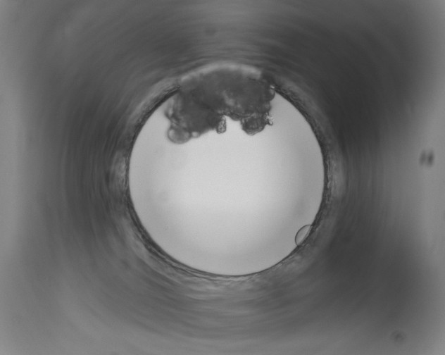 X0000114020036200911131237