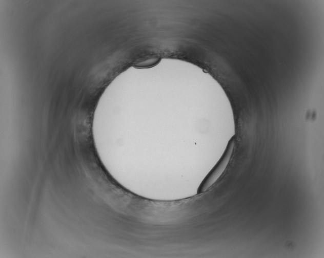 X0000114020037200911131237