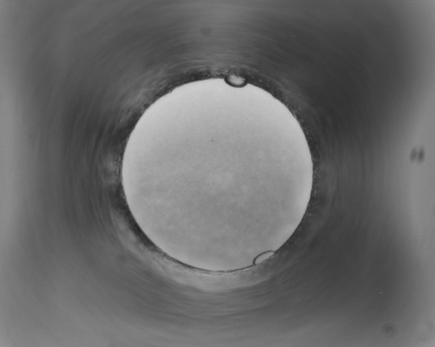 X0000114020039200911131237