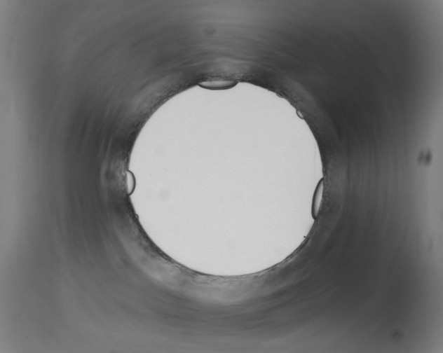 X0000114020045200911131237