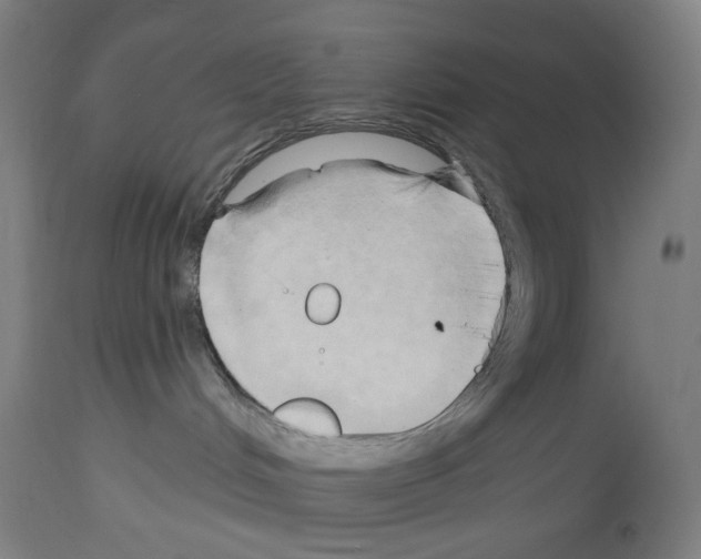 X0000114020048200911131236