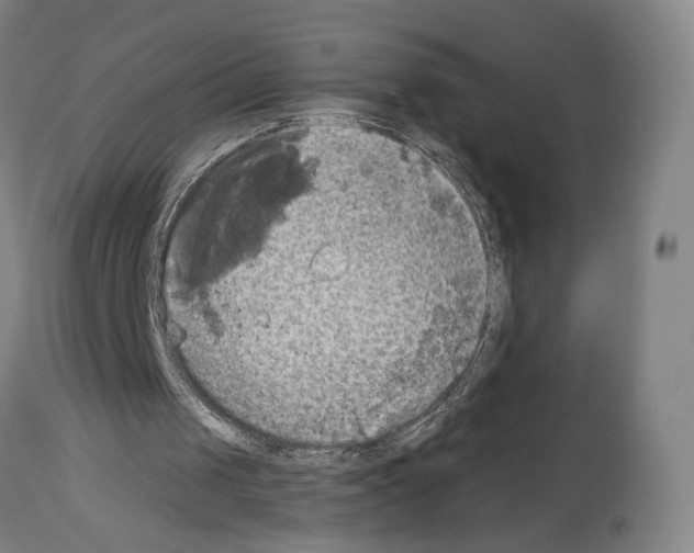 X0000114020049200911131236