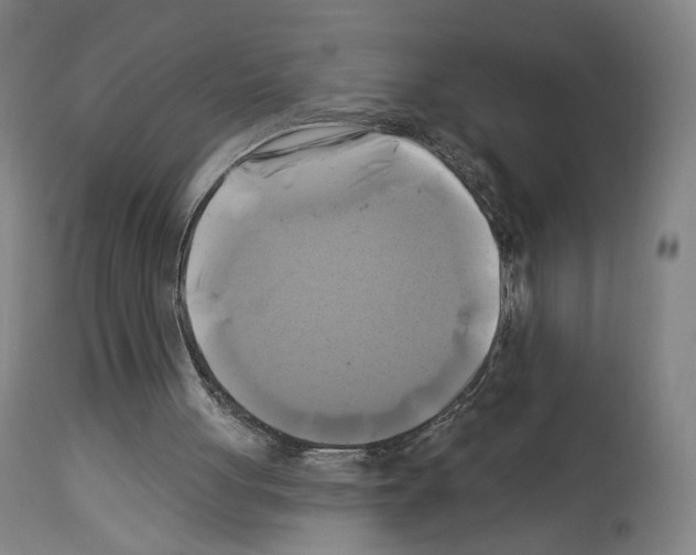 X0000114020051200911131236