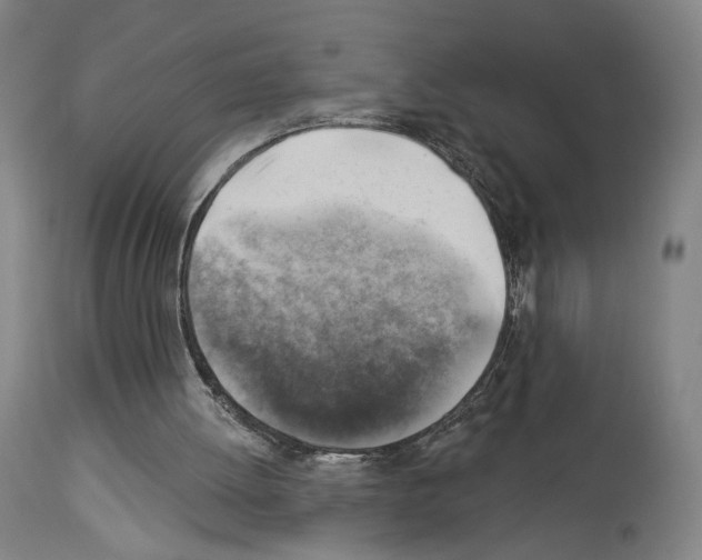 X0000114020052200911131236