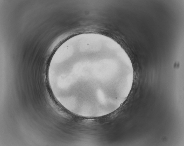 X0000114020054200911131236