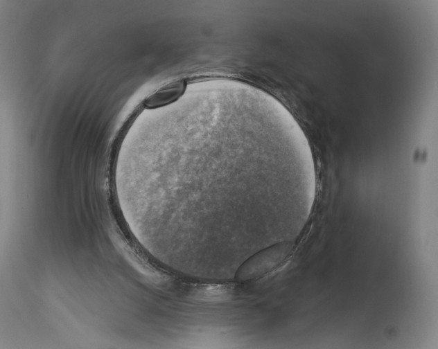 X0000114020056200911131236