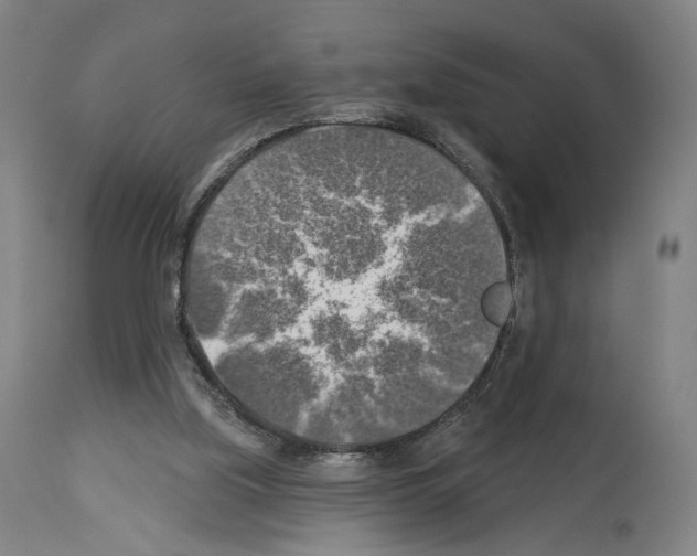 X0000114020059200911131236