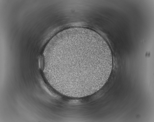 X0000114020061200911131236