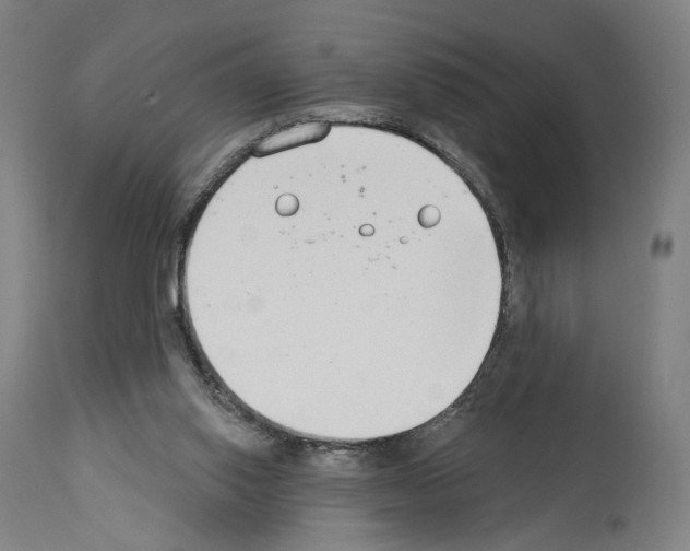 X0000114020062200911131236