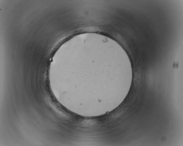 X0000114020063200911131236