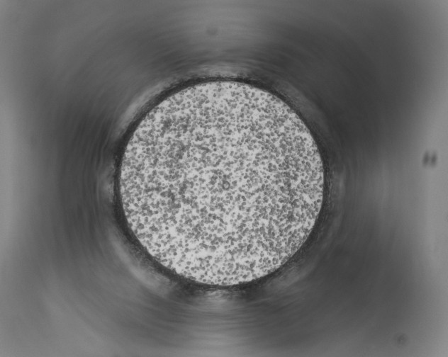 X0000114020064200911131236