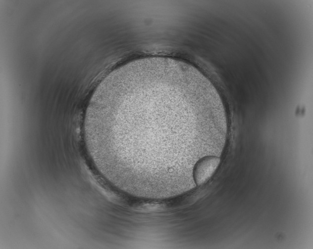 X0000114020065200911131236