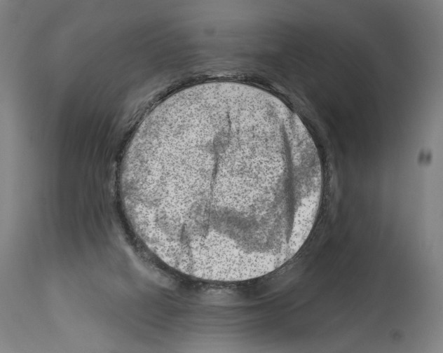 X0000114020066200911131236