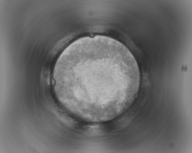 X0000114020068200911131236